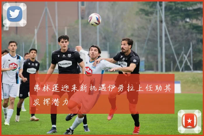 弗林蓬迎来新机遇伊劳拉上任助其发挥潜力