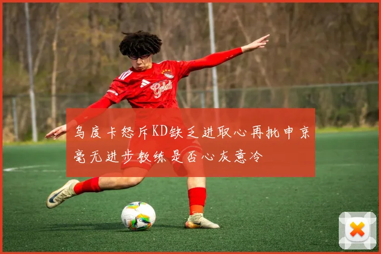乌度卡怒斥KD缺乏进取心再批申京毫无进步教练是否心灰意冷