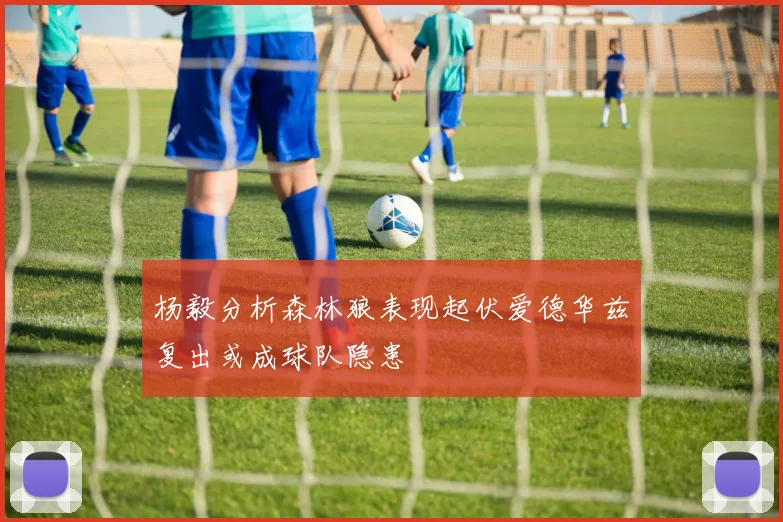 杨毅分析森林狼表现起伏爱德华兹复出或成球队隐患
