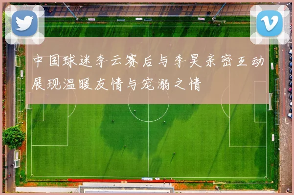 中国球迷李云赛后与李昊亲密互动展现温暖友情与宠溺之情