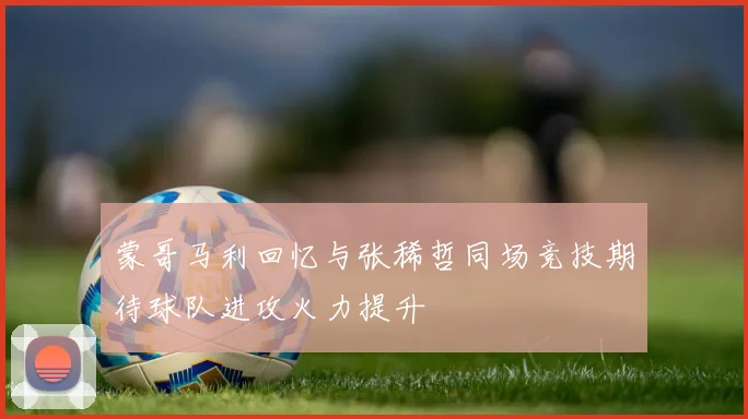 蒙哥马利回忆与张稀哲同场竞技期待球队进攻火力提升